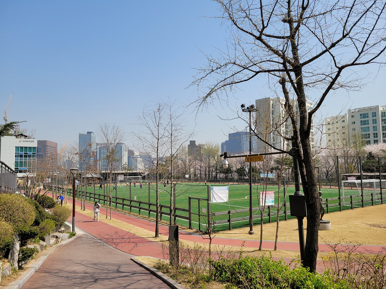 敢于尝试新 敢于尝试新