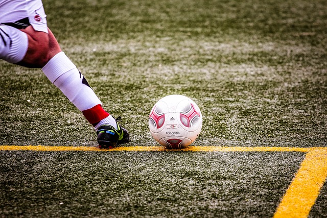 动的魅力 动的魅力