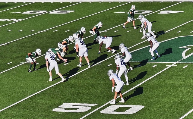 业生涯与驾 业生涯与驾